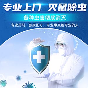 宿遷殺蟲(chóng)滅鼠公司講解除四害的歷程